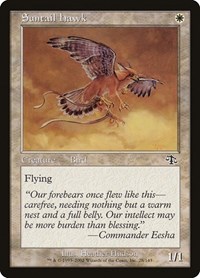 Suntail Hawk, Judgment