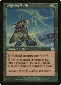 Elephant Guide, Judgment