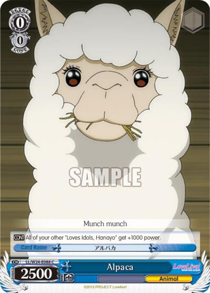 Alpaca, Standard, front