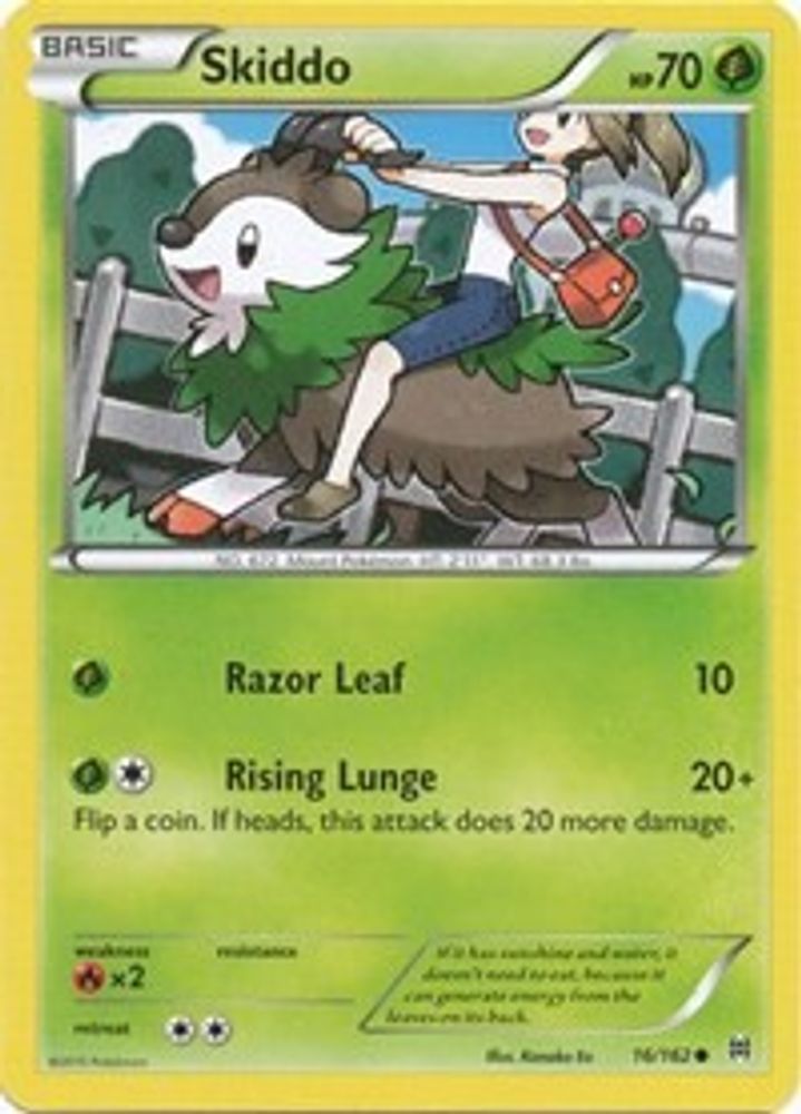 Skiddo