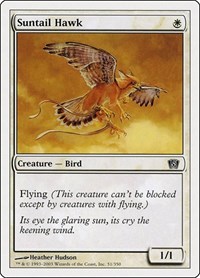Suntail Hawk, 8th Edition