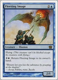 Fleeting Image, 8th Edition