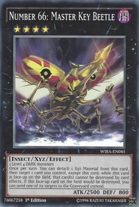 Number 66: Master Key Beetle