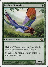 Birds of Paradise, 8th Edition