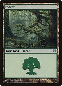Forest (306), Champions of Kamigawa