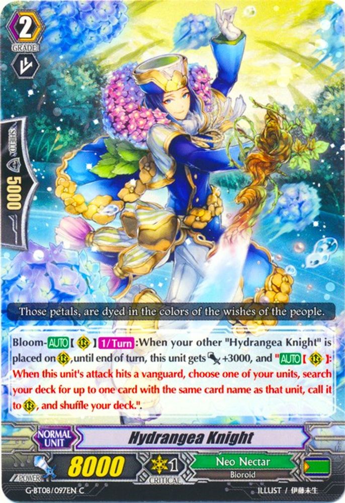 Hydrangea Knight, Standard, front