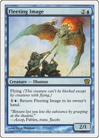 Fleeting Image, 9th Edition