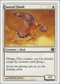 Suntail Hawk, 9th Edition