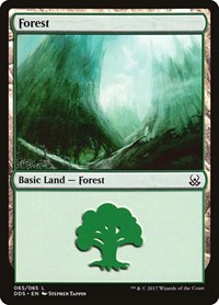 Forest (065), Duel Decks: Mind vs. Might