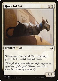 Graceful Cat, Amonkhet