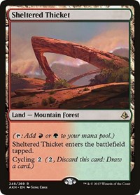 Sheltered Thicket, Amonkhet