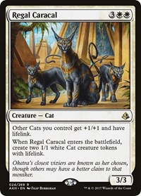 Regal Caracal, Amonkhet