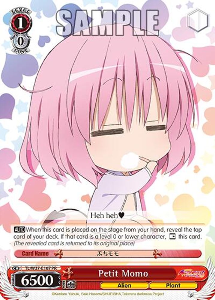 Petit Momo, Standard, front