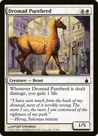 Dromad Purebred, Ravnica: City of Guilds