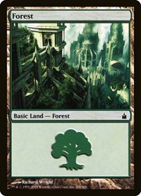 Forest (306), Ravnica: City of Guilds