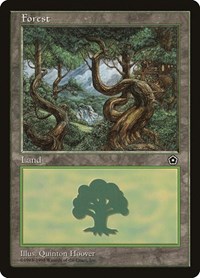 Forest (151), Portal Second Age