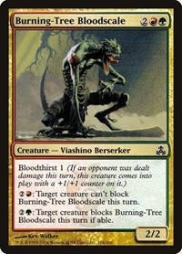 Burning-Tree Bloodscale, Guildpact
