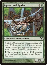 Aquastrand Spider, Dissension