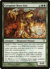 Cytoplast Root-Kin, Dissension