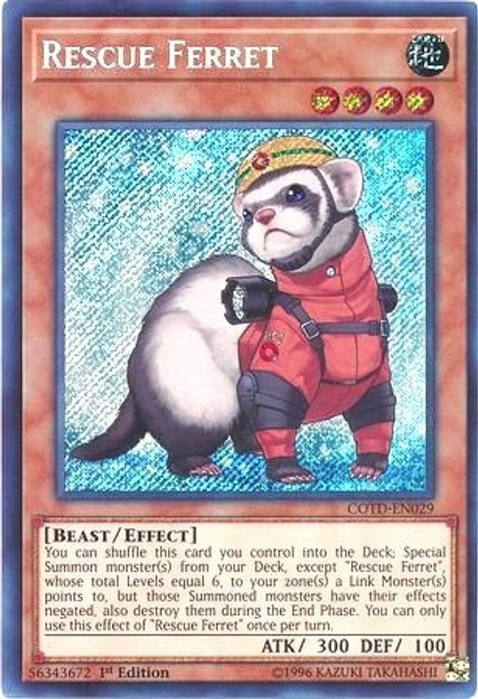 Rescue Ferret, 1st-edition, front
