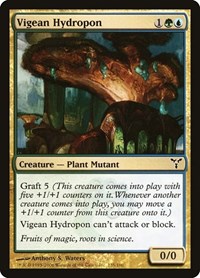 Vigean Hydropon, Dissension