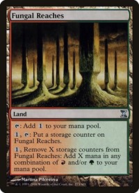 Fungal Reaches, Time Spiral