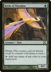 Birds of Paradise, 10th Edition