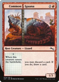 Common Iguana, Unstable