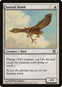 Suntail Hawk, 10th Edition