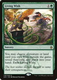 Living Wish, Masters 25