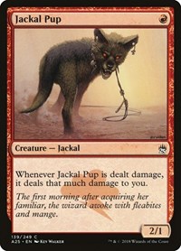 Jackal Pup, Masters 25