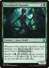 Broodhatch Nantuko, Masters 25