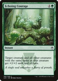 Echoing Courage, Masters 25