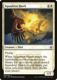 Squadron Hawk, Masters 25