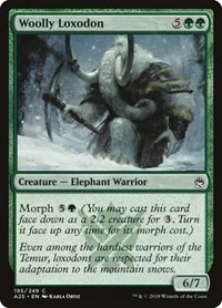 Woolly Loxodon, Masters 25