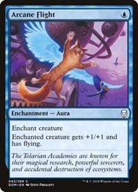 Arcane Flight, Dominaria