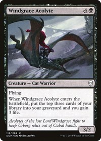 Windgrace Acolyte, Dominaria