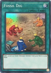 Fossil Dig