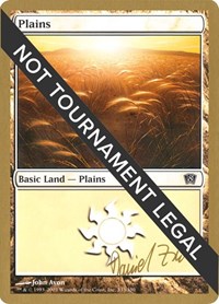 Plains (333) - 2003 Daniel Zink (8ED), World Championship Decks