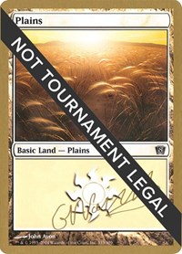 Plains (333) - 2004 Gabriel Nassif (8ED), World Championship Decks