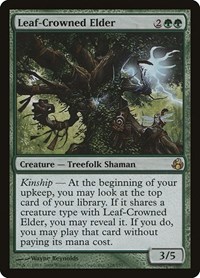 Leaf-Crowned Elder, Morningtide
