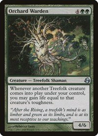 Orchard Warden, Morningtide