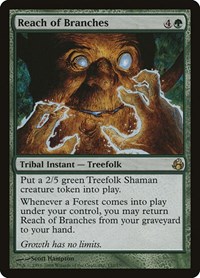 Reach of Branches, Morningtide