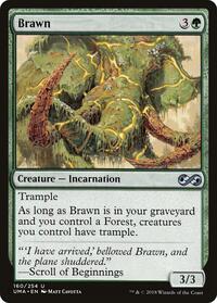 Brawn, Ultimate Masters