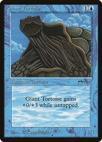 Giant Tortoise (Light), Arabian Nights
