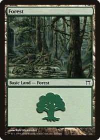 Forest (305), Champions of Kamigawa