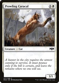 Prowling Caracal, Ravnica Allegiance