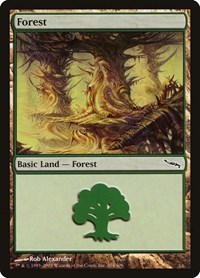Forest (304), Mirrodin