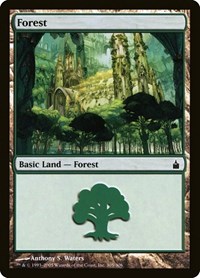 Forest (305), Ravnica: City of Guilds