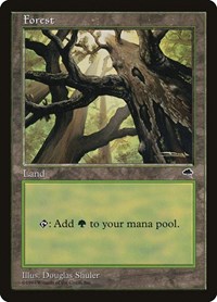 Forest (Skyward), Tempest